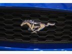 Thumbnail Photo 19 for 2017 Ford Mustang